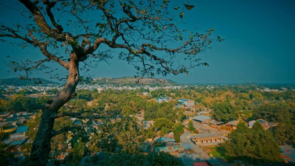 narsinghgarh wide angle view from the hill